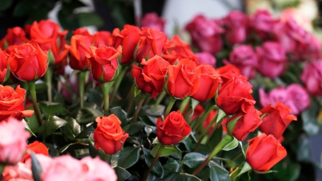 San Valentín: el consumismo del amor, pero con garantías