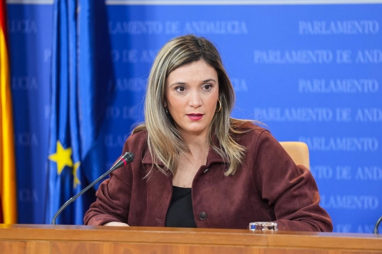 El PSOE-A ignora la carta de los socialistas críticos que piden la dimisión de Sánchez: 