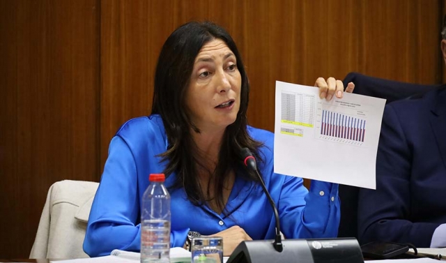 Andalucía denuncia el 