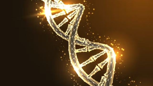 Científicos españoles descubren el 