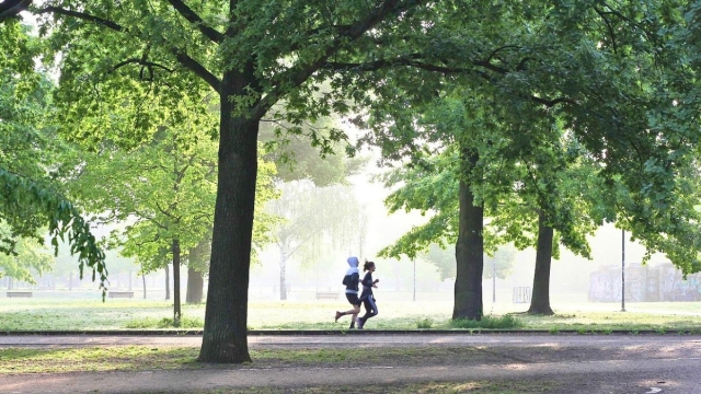 El Gobierno vasco impulsa el Plan Mugiment para la promoción de la actividad física
