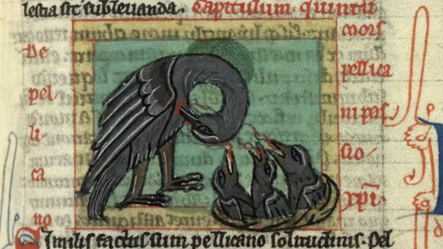 El pelícano y el fénix: símbolos de sacrificio y resurrección en la Edad Media