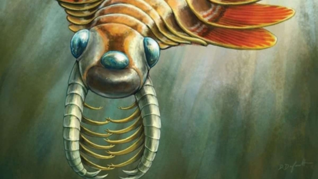 Describen una nueva especie fósil de radiodonte con tres ojos