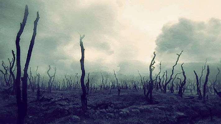 Los científicos desvelan qué especie dominaría la Tierra si los humanos nos extinguiéramos