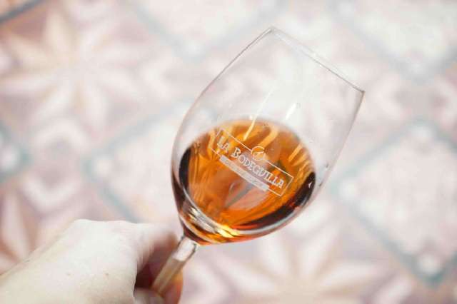 Día Internacional del Vino 2025: Bodegas, Valladolid y los grandes destinos enoturísticos de España para celebrarlo