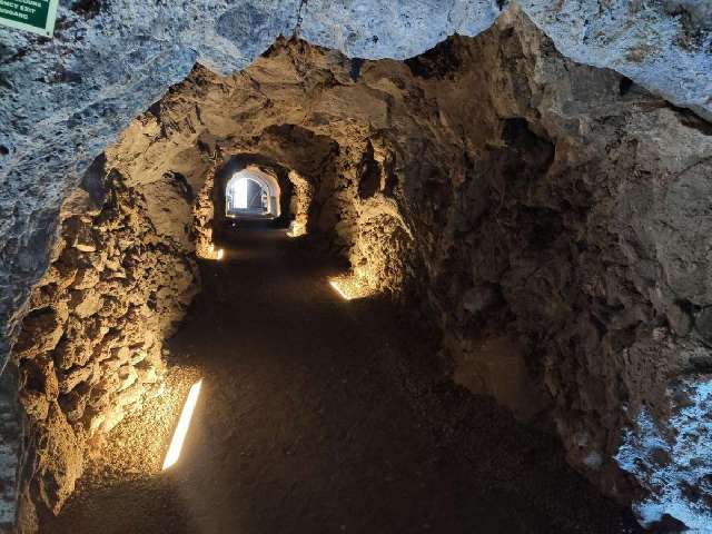 Los insectos que desvelan los secretos prehispánicos en Canarias: escarabajos americanos entre momias guanches