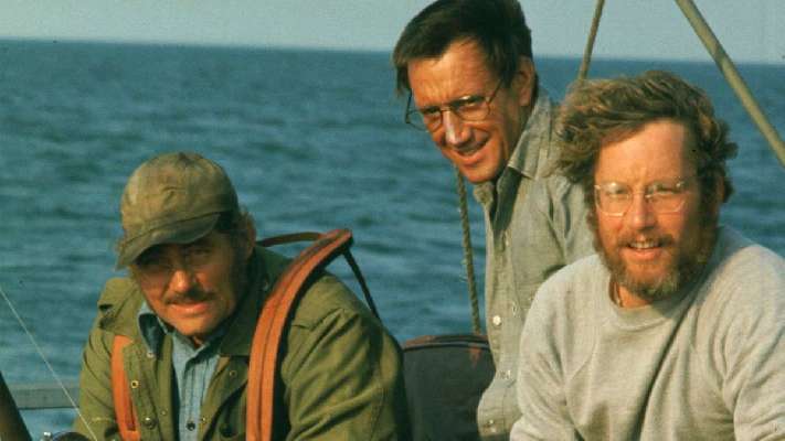 'Tiburón': 50 años del taquillazo de Spielberg que convirtió el mar en pesadilla