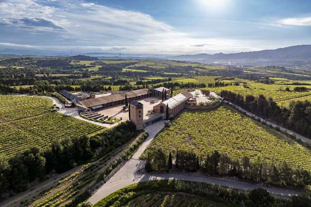 Los rompedores blancos tranquilos de Juvé y Camps