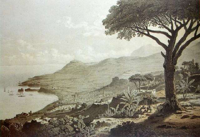 Cuando Madeira se apropió del vino canario