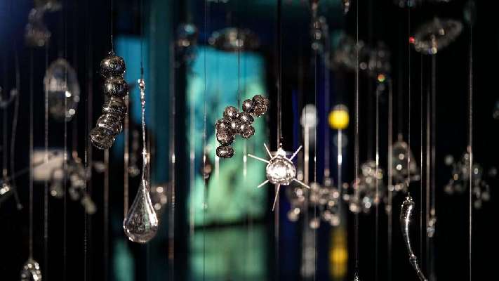 Espacio Fundación Telefónica reflexiona sobre el impacto humano en los ecosistemas marinos