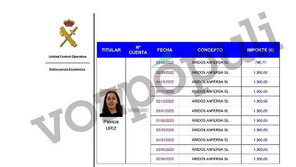 Koldo enchufó a su mujer en una empresa en la que cobró casi 14.000 euros sin ir a trabajar