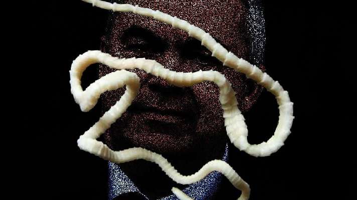 Santos Cerdán y el proceder de la tenia