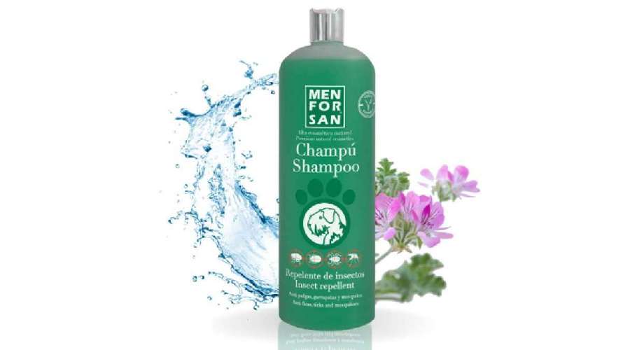 Si tú te proteges, protégelo también a él: el champú que mantiene a tu perro libre de insectos
