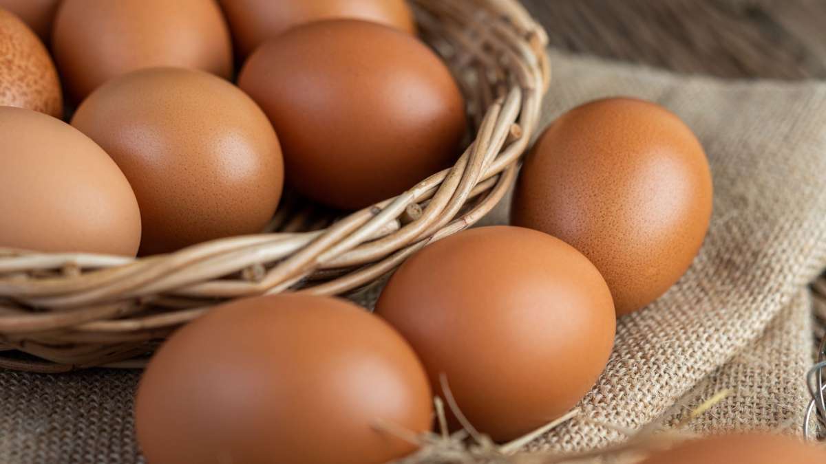 Además de muy nutritivos, los huevos reducen el riesgo de demencia