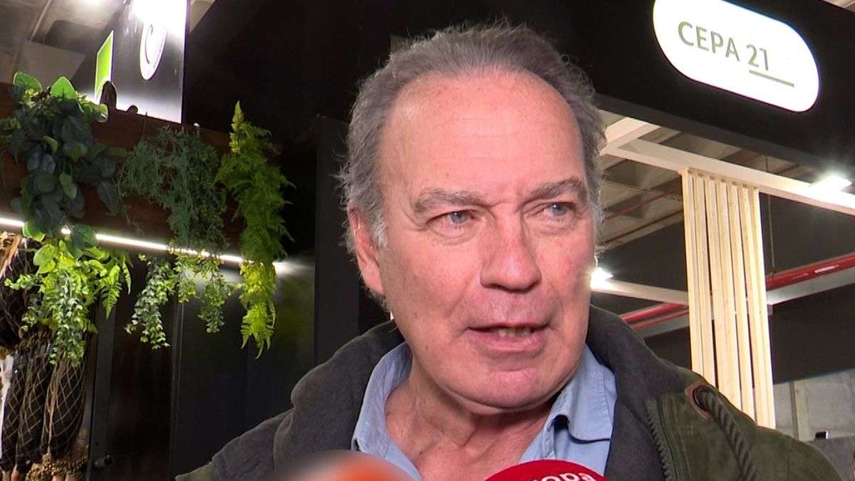 Bertín Osborne anuncia que deja la música en plena polémica con Gabriela y  tras salir en la lista de morosos de Hacienda | Vozpópuli