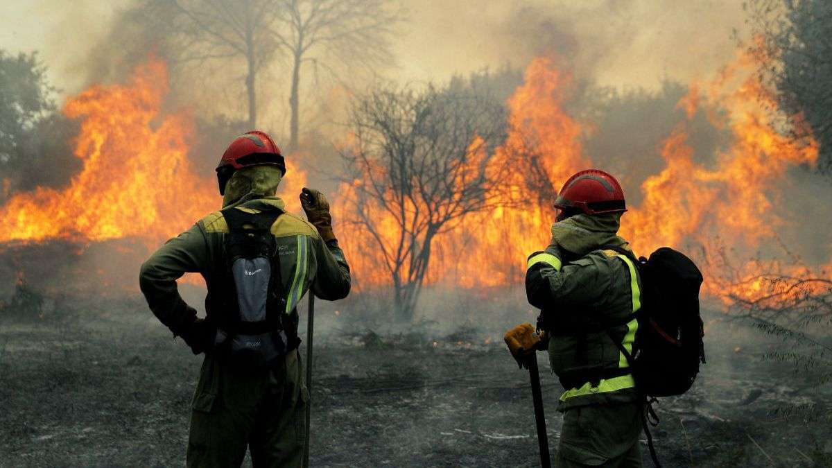 Pedro Sánchez: incendios, literatura e intrigas