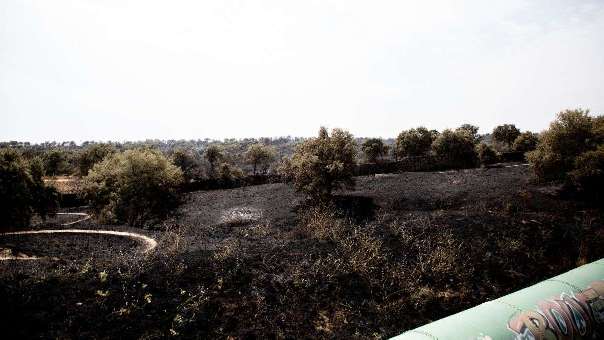 El incendio de Tres Cantos ya está controlado y seis dotaciones aún enfrían la zona