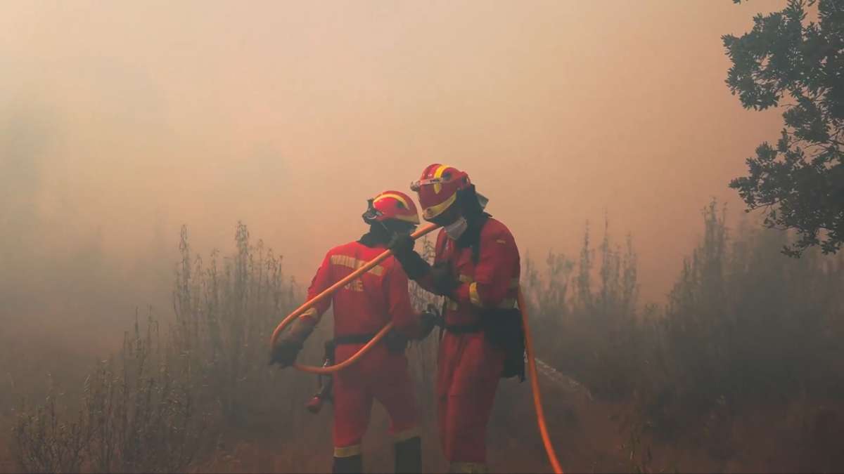 Efectivos de la UME, en Zamora