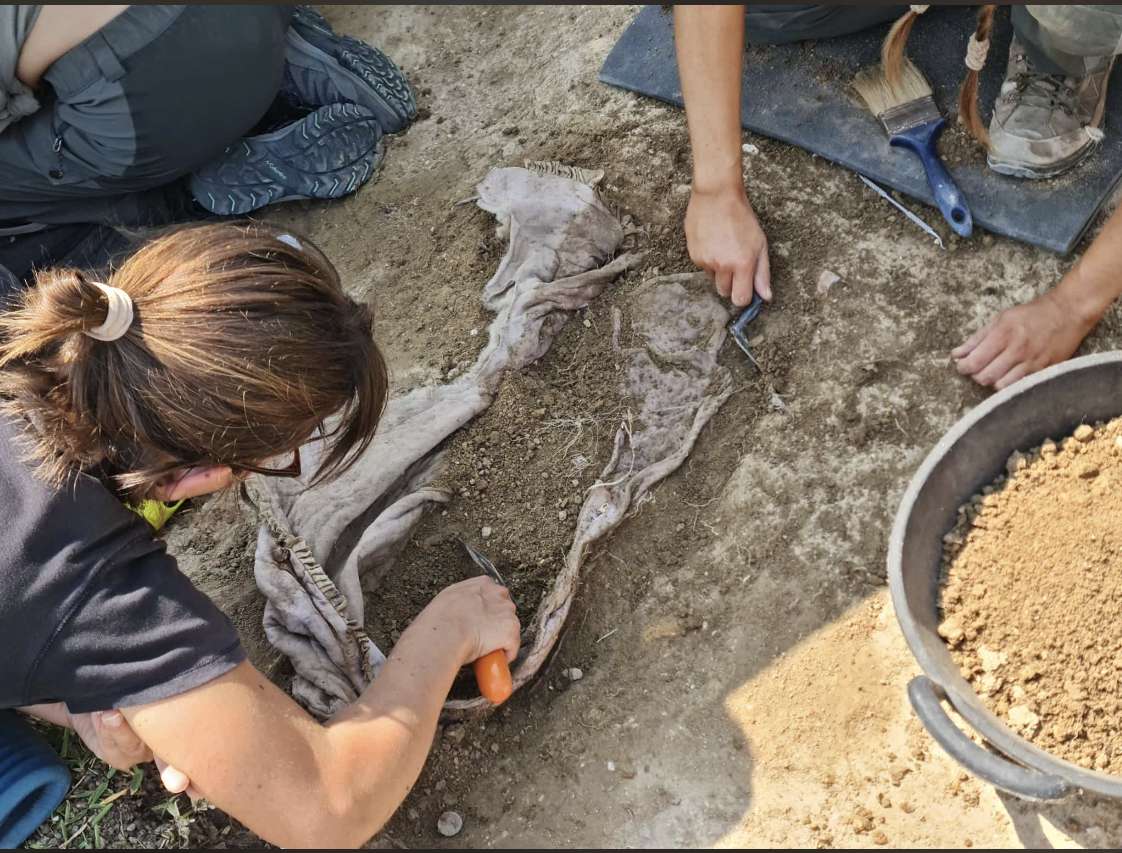 Exhumación en el Cementerio de la Soledad (Huelva)