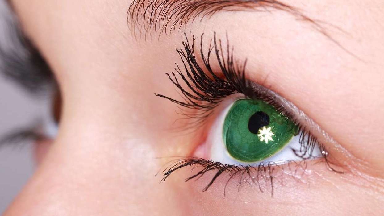 Schatten im Morgengrauen