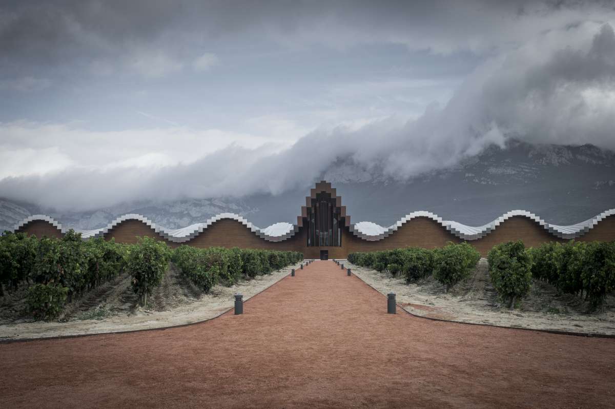 Ysios, la espectacular bodega diseñada por Calatrava presenta, en pleno agosto, Finca el Nogal