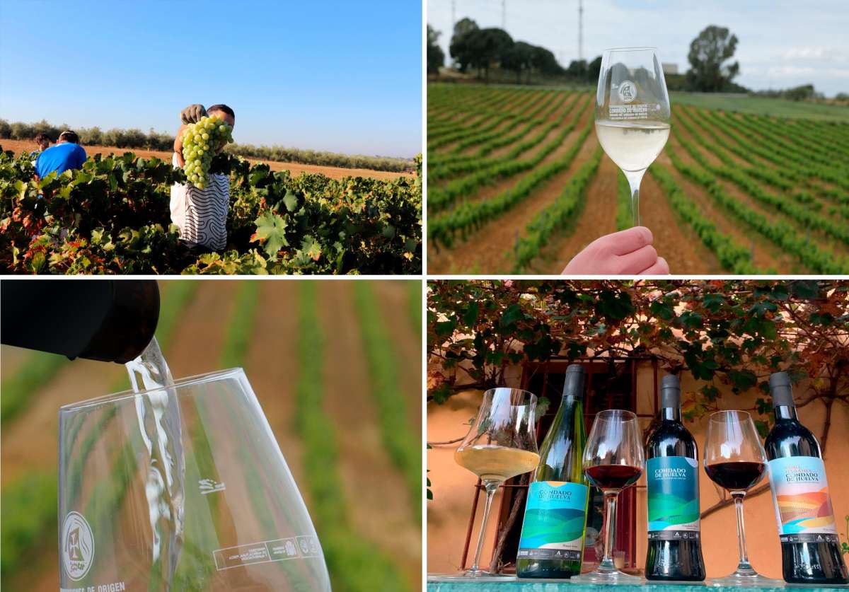El vino naranja de Huelva, el secreto mejor guardado de la enología andaluza