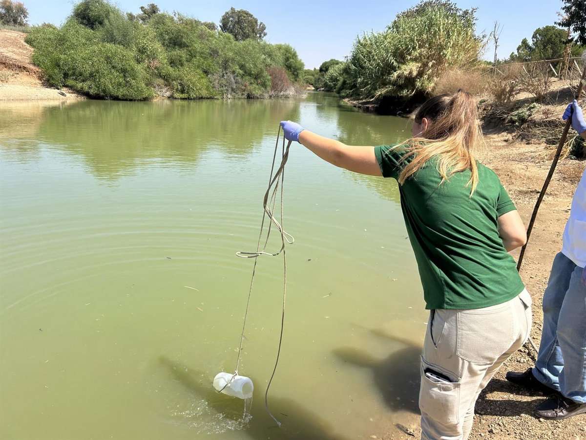 Un brote de gripe aviar pone en alerta a Sevilla: un parque cerrado, 70 aves muertas y cinco personas bajo control