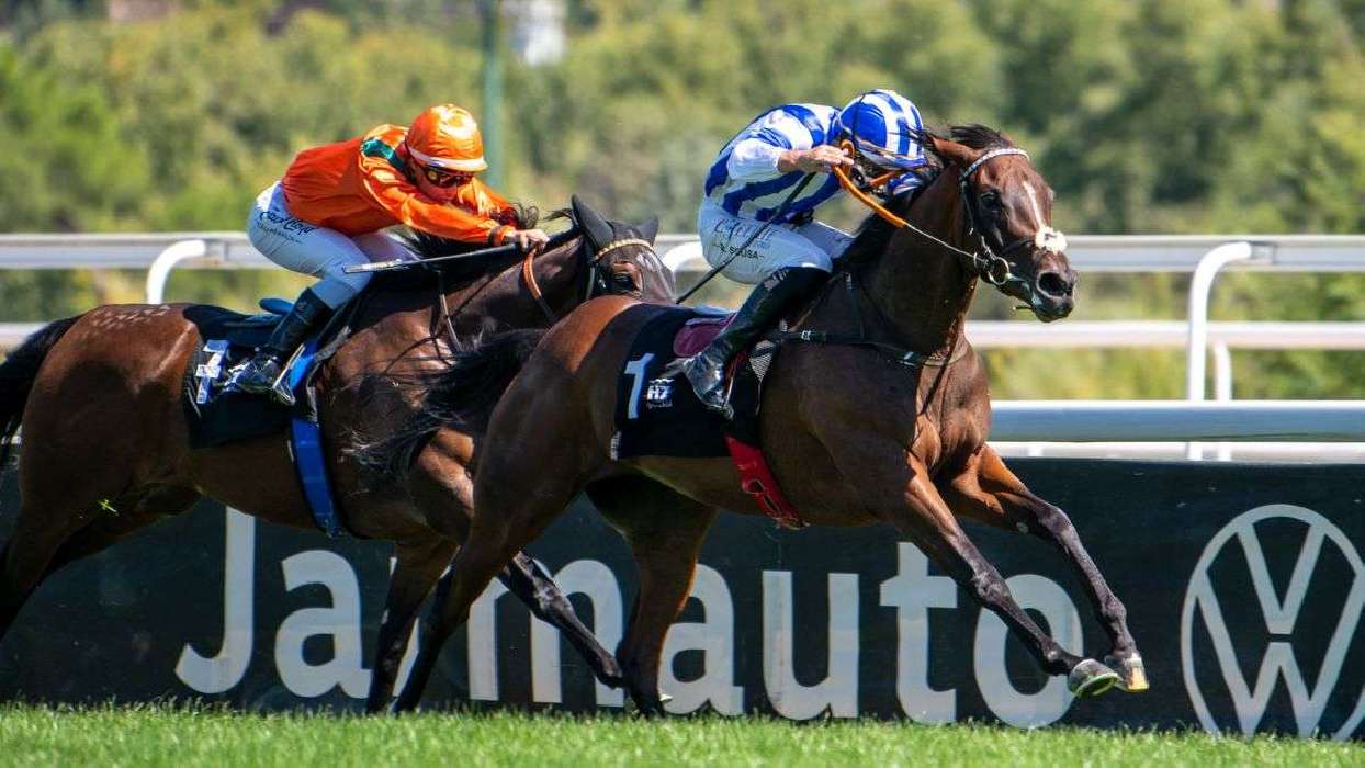 Marlene's personal world exposed