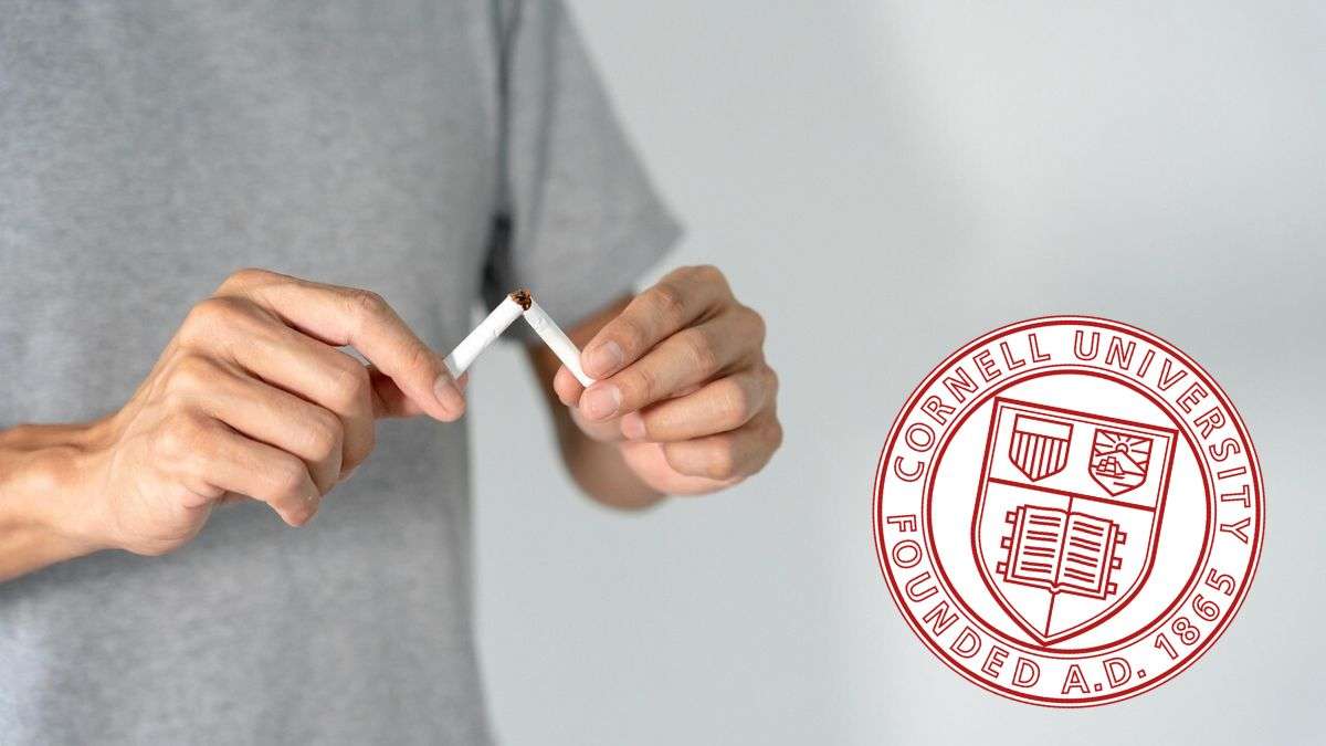 Un estudio de la Universidad de Cornell utiliza la IA para dejar de fumar