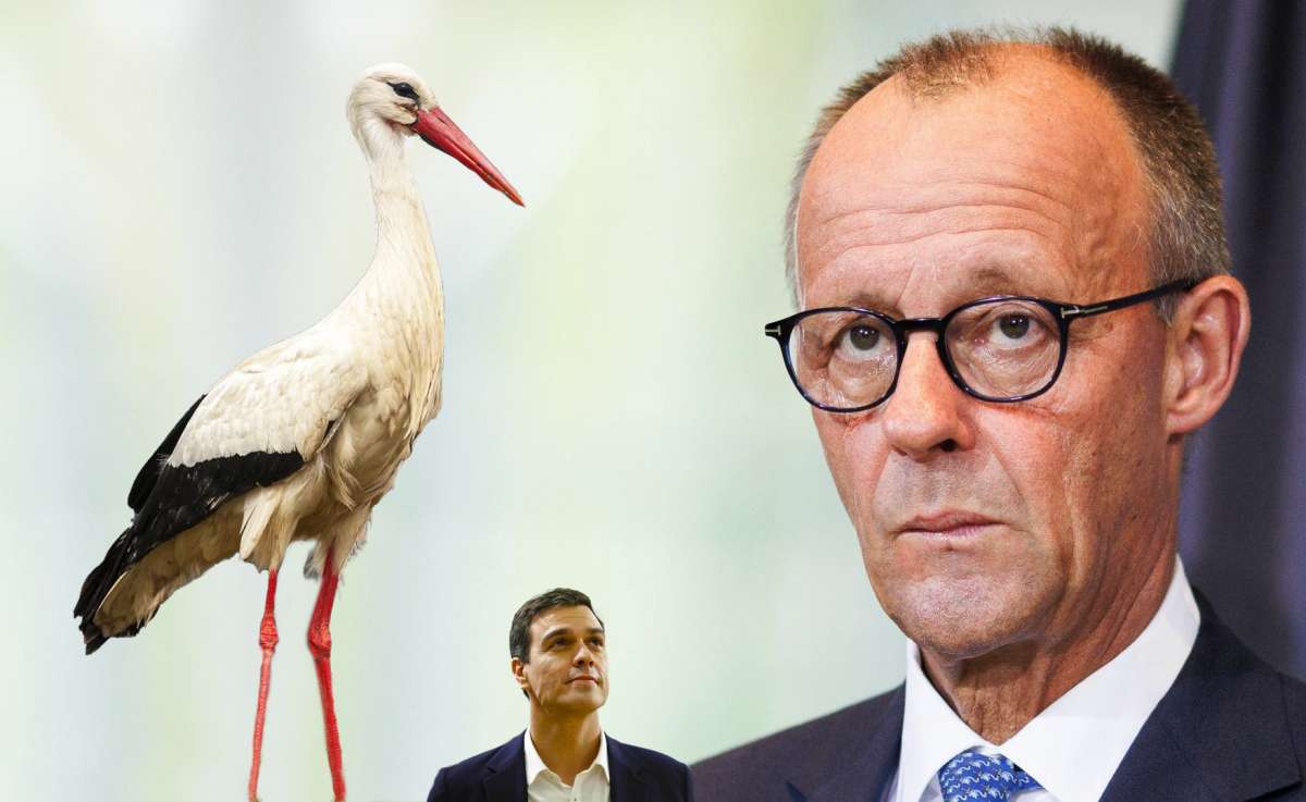 Friedrich Merz y las dudas de la cigüeña