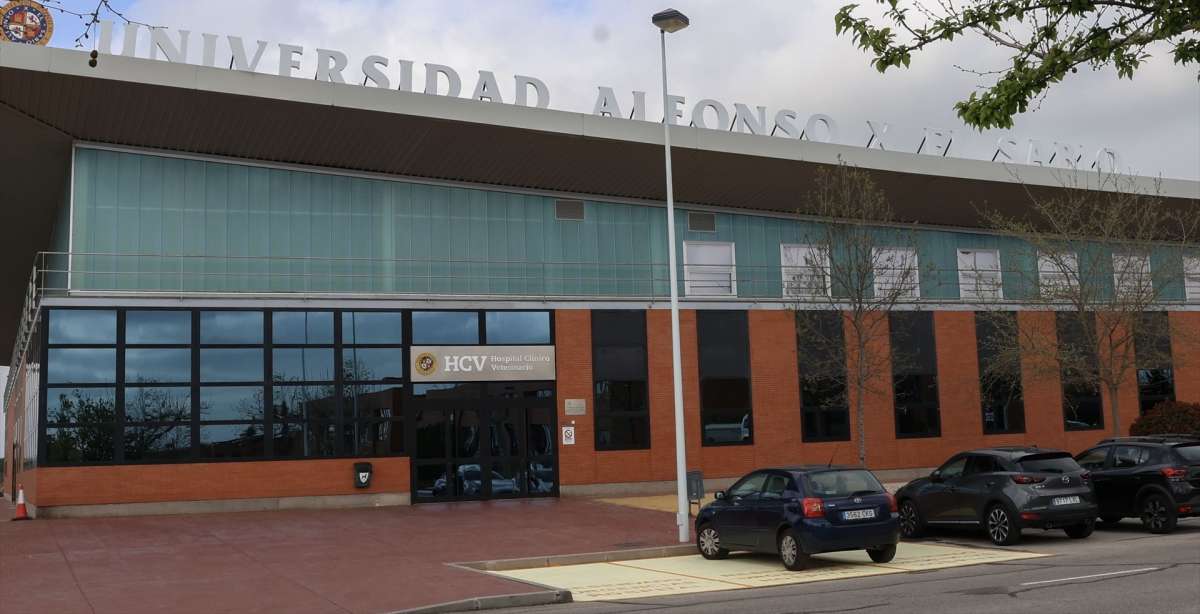 El Gobierno creará un grado universitario para formar a los "agentes de igualdad" de las empresas