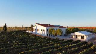 Altos de Pioz, haciendo buen vino en el páramo alcarreño