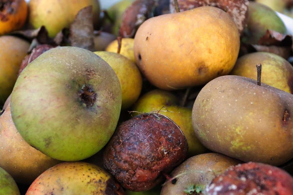 La nevera vacía y la basura llena: la subida de precios colapsa la planificación alimenticia