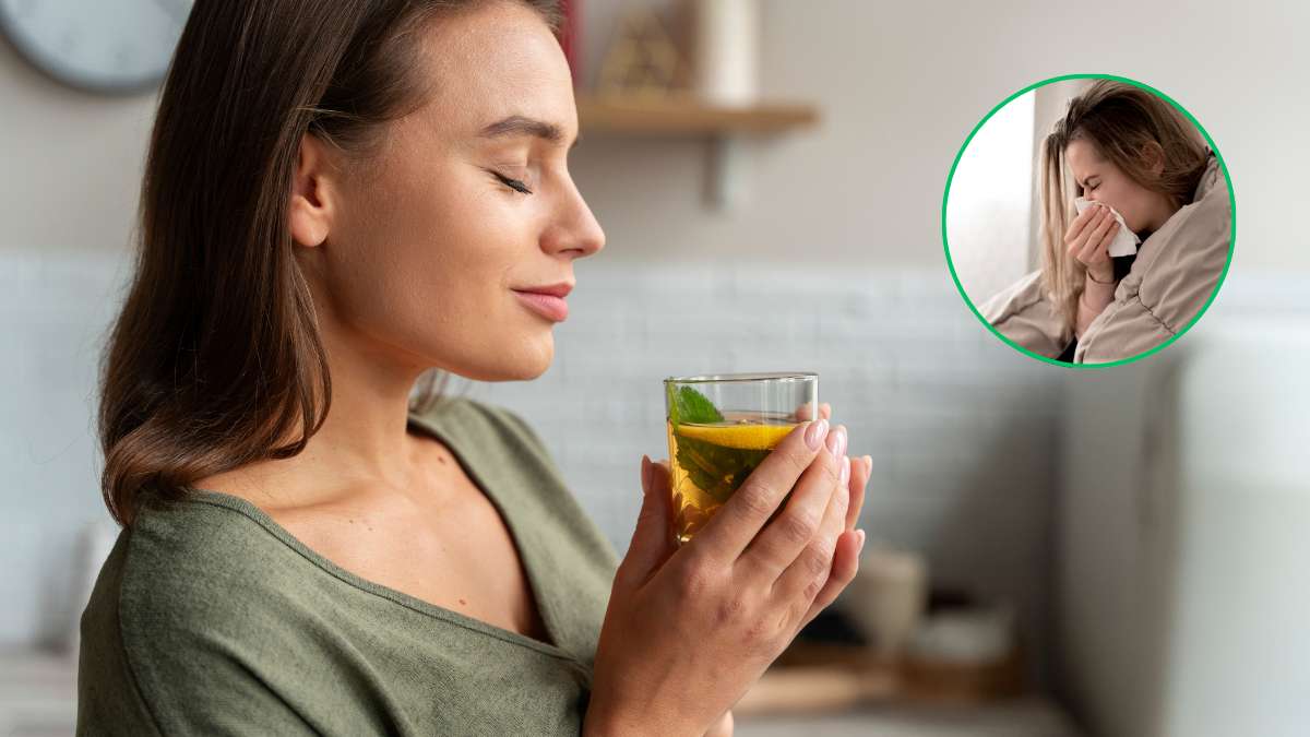 La hierba aromática que sirve como remedio natural: reduce el azúcar en sangre y previene la bronquitis