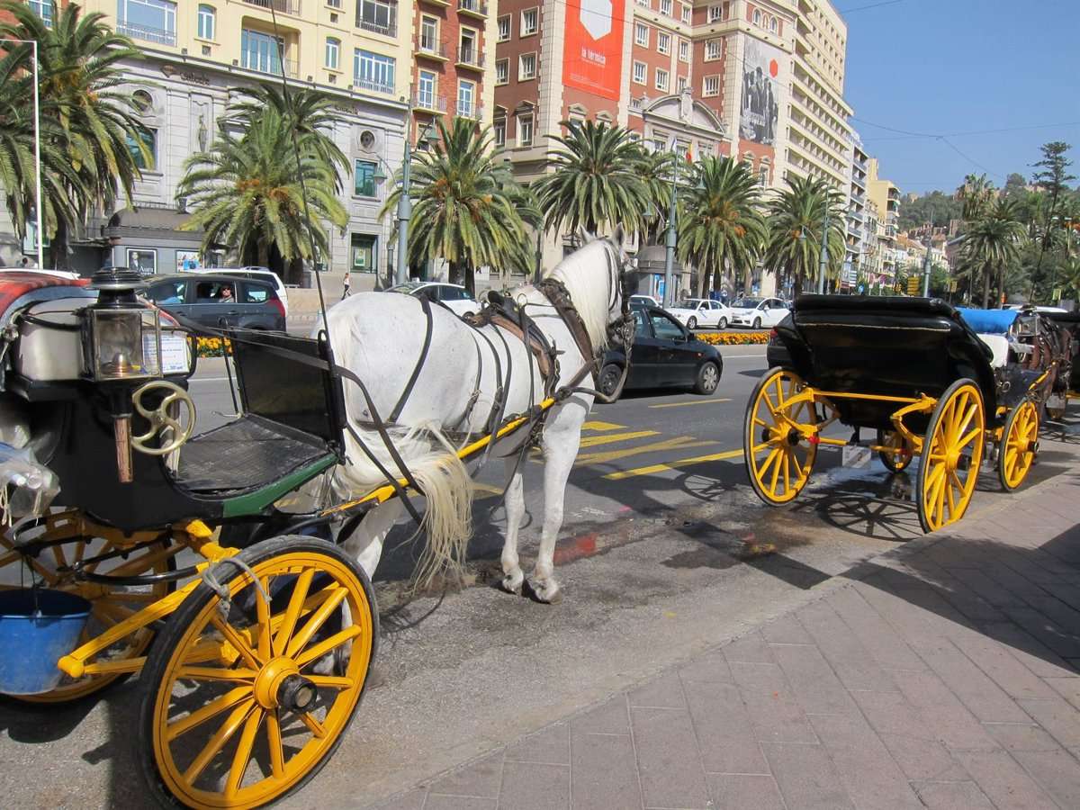"¿Adónde voy con 61 años?": los cocheros de caballos, desahuciados de Málaga