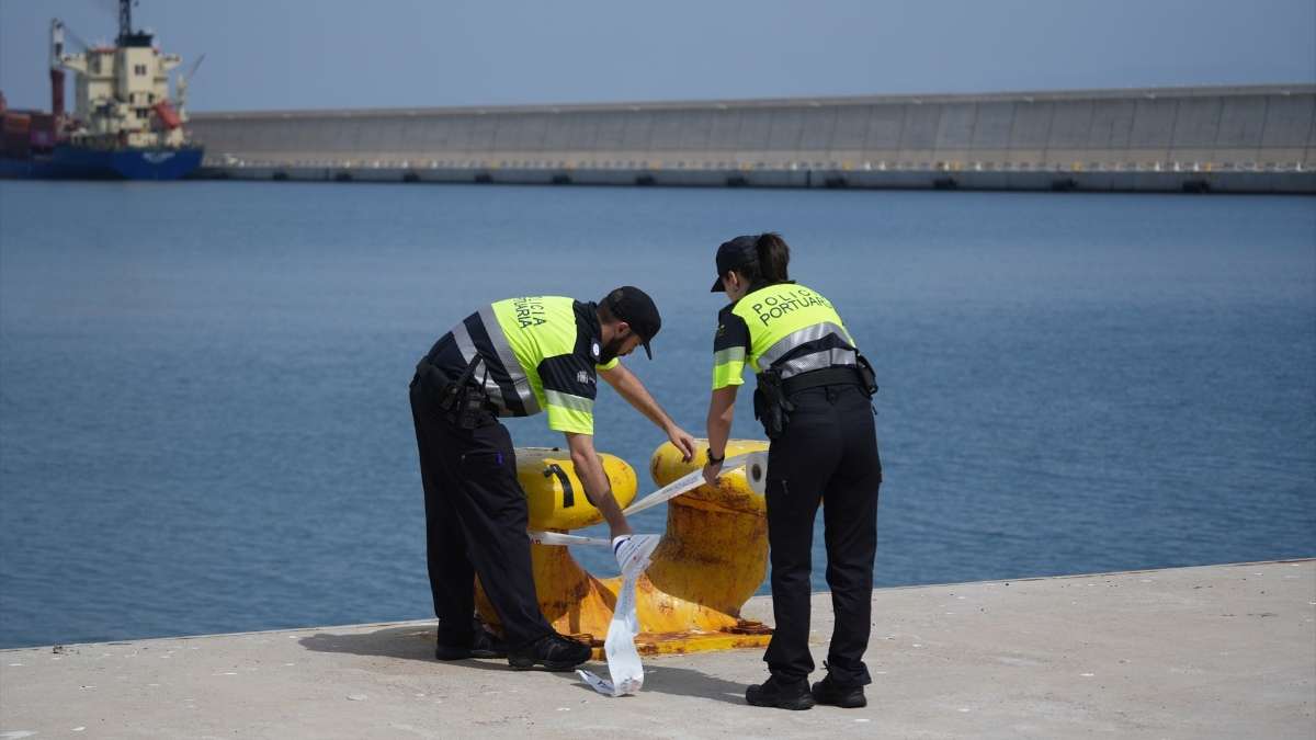 Medidas contra la inmigración ilegal: los puertos de Valencia y Sagunto blindan el control de viajeros