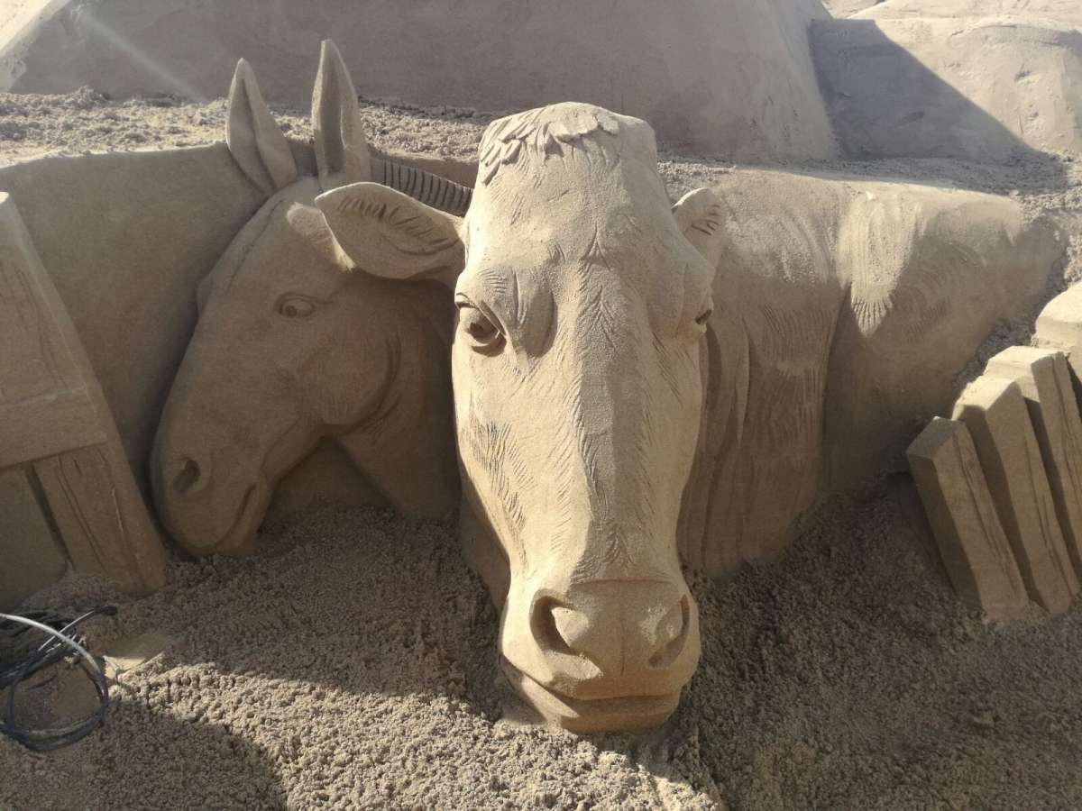 Canarias detecta el transporte sin control a Fuerteventura de toneladas de arena procedente del Sáhara