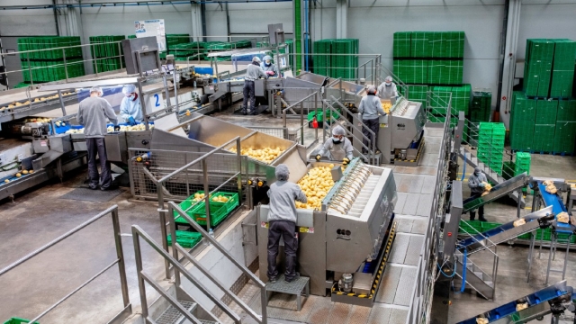 Mercadona refuerza su apuesta por el campo español y aumenta un 22% las compras a proveedores nacionales