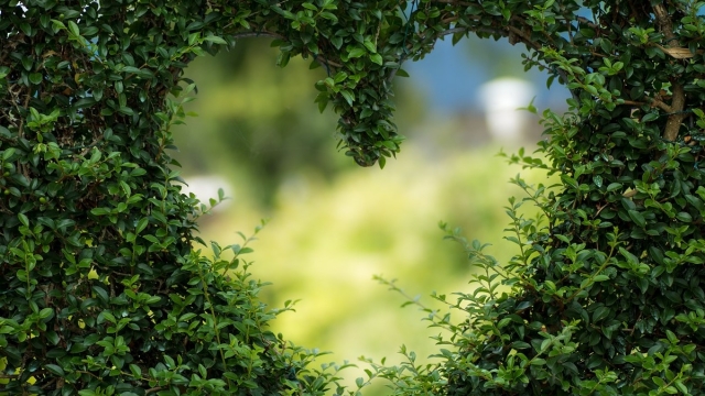 Amor propio: cómo mejorar tu salud aprendiendo a quererte más