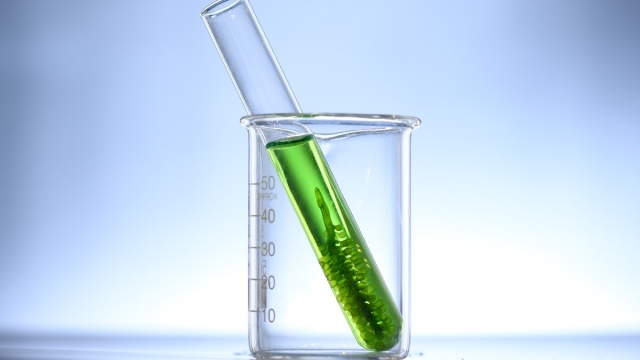 Chlorella, el superalimento de moda para decir adiós al estreñimiento