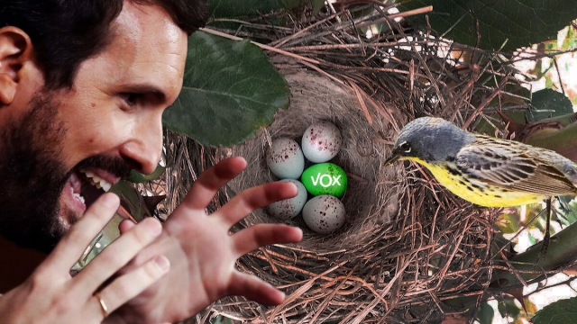 Pablo Casado y los disgustos del chipe de Kirtland