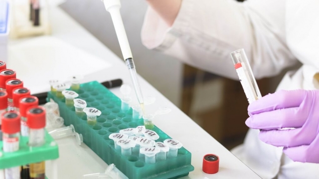 12.000 pacientes participan en proyectos de investigación en salud en el ecosistema sanitario público del País Vasco