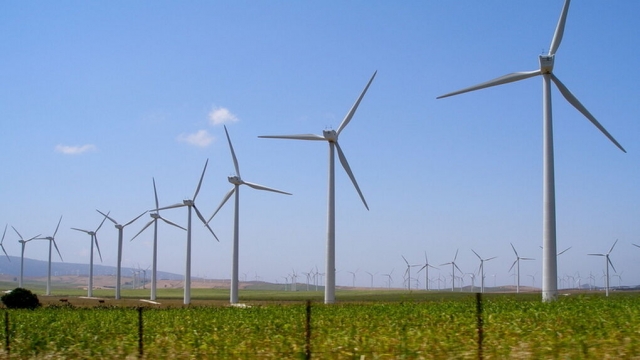 La cara y cruz del bajo precio de la luz: menos inversión en renovables, pero mayor competitividad