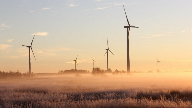 El doble filo de las renovables: la escasa producción nuclear y de gas agravó el caos eléctrico