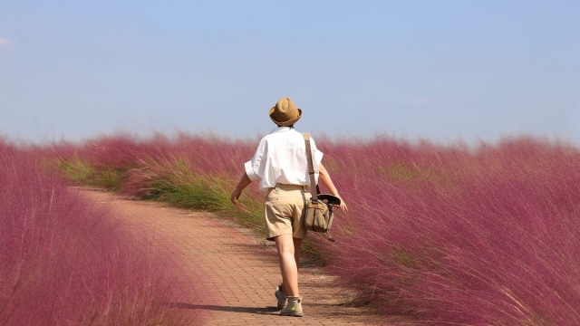 Miedo a la soltería: así se alimenta la búsqueda de pareja cuando termina el verano
