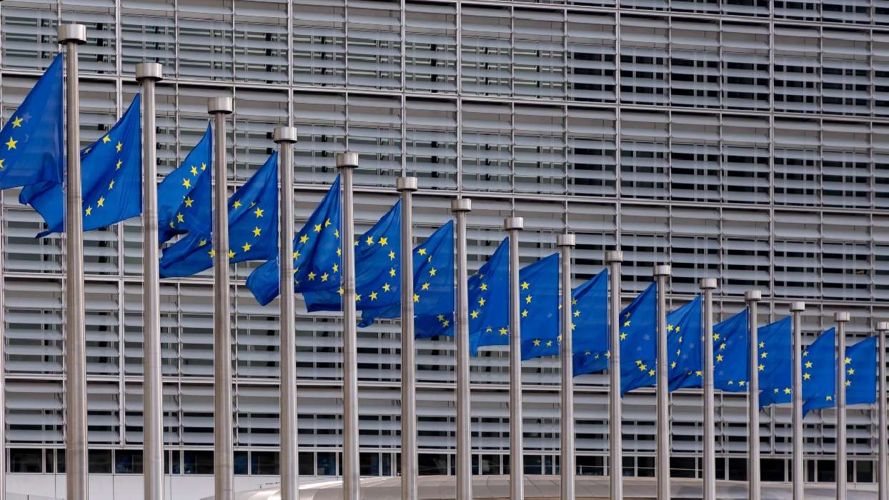 Runesol Bandiera Dell'Unione Europea, 91x152cm, 3ft X 5ft - Foto 14