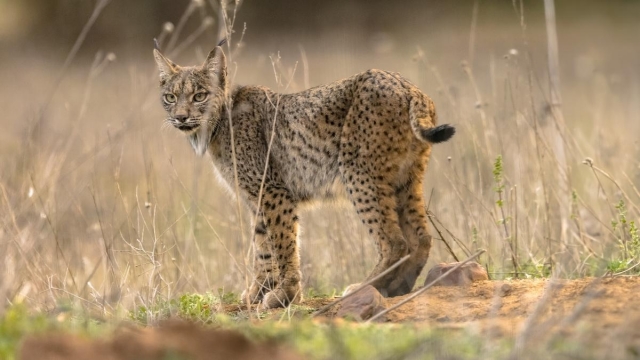 Proteger la biodiversidad, una misión prioritaria y compartida por todos