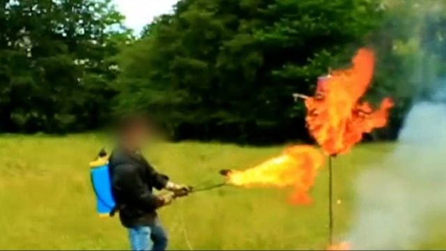 Detenido un 'youtuber' con más de un millón de seguidores por fabricación ilegal de explosivos en Cantabria