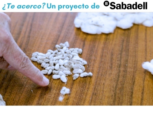 Desde Guadix al mundo: así es cómo Cotton South produce papel moneda con desechos de algodón